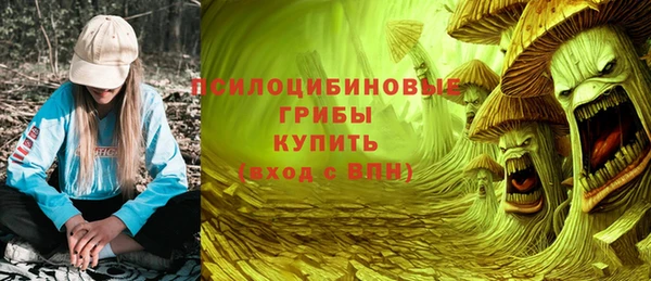 мет Алексин