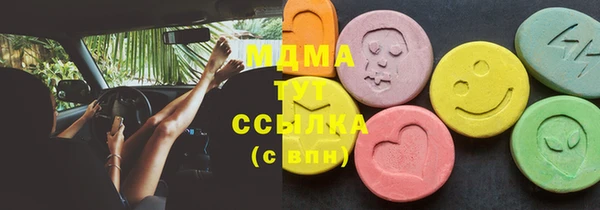 мет Алексин