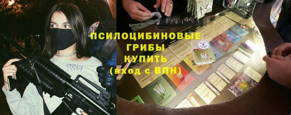мет Алексин