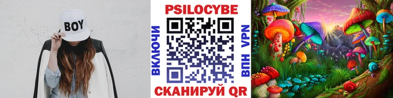 hydra маркетплейс  Жигулёвск  Галлюциногенные грибы ЛСД  как найти наркотики 